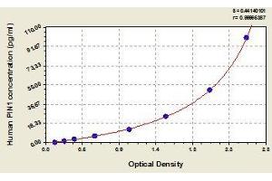 Typical standard curve (PIN1 ELISA 试剂盒)