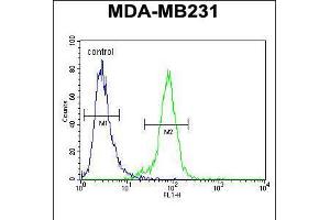 Flow cytometric analysis of MDA-MB231 cells (right histogram) compared to a negative control cell (left histogram). (PDE12 抗体  (C-Term))