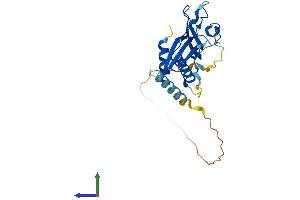 Protein Structure (PS) image for Receptor (Chemosensory) Transporter Protein 4 (RTP4) (AA 1-246) protein (His tag) (ABIN7551671)