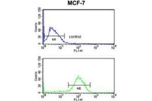 AGR3 Antibody (C-term) flow cytometry analysis of MCF-7 cells (bottom histogram) compared to a negative control cell (top histogram).