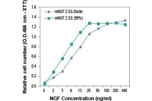 mouse NGF 2. (NGF 2.5S protein (Biotin))
