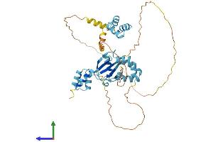 Protein Structure (PS) image for RAD23 Homolog B (RAD23B) (AA 1-416) protein (His tag) (ABIN7563449)