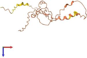AlphaFold protein structure predicition of Human Recombinant FAM201A Protein, UniprotID Q5SY85