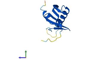 AlphaFold protein structure predicition of Human Recombinant LAMTOR4 Protein, UniprotID Q0VGL1