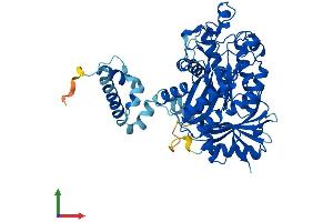AlphaFold protein structure predicition of Human Recombinant ELP3 Protein, UniprotID Q9H9T3