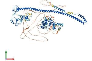 Protein Structure (PS) image for Promyelocytic Leukemia (PML) (AA 1-885) protein (His tag) (ABIN7563889)