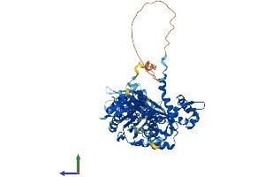 Protein Structure (PS) image for acetylserotonin O-Methyltransferase-Like (ASMTL) (AA 1-621) protein (His tag) (ABIN7552474)