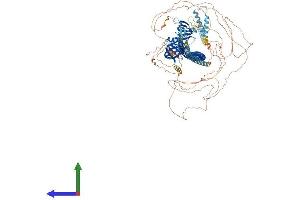 Protein Structure (PS) image for FK506 Binding Protein 15, 133kDa (FKBP15) (AA 1-1219) protein (His tag) (ABIN7553912)
