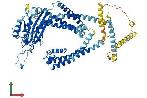 Protein Structure (PS) image for Polycystic Kidney Disease 2-Like 2 (PKD2L2) (AA 1-624) protein (His tag) (ABIN7550850)