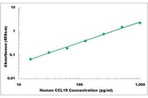 Representative Standard Curve (CCL19 ELISA 试剂盒)