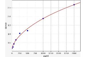 Typical standard curve (ETV6 ELISA 试剂盒)