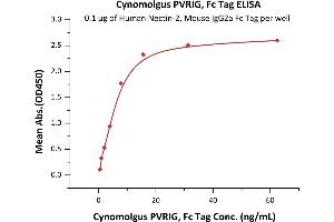 ELISA image for Poliovirus Receptor-Related Immunoglobulin Domain Containing (PVRIG) (AA 41-171) (Active) protein (Fc Tag) (ABIN6809885)