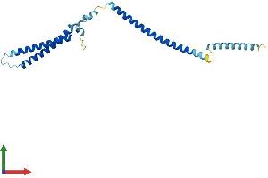 Protein Structure (PS) image for MIS12, MIND Kinetochore Complex Component, Homolog (MIS12) (AA 1-205) protein (His tag) (ABIN7549415)
