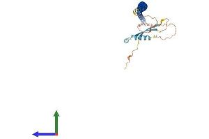 AlphaFold protein structure predicition of Human Recombinant KRT222 Protein, UniprotID Q8N1A0 (KRT222 Protein (AA 1-295) (His tag))