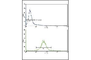 Flow Cytometry (FACS) image for anti-Paired Box 8 (PAX8) (AA 285-313) antibody (ABIN390860)