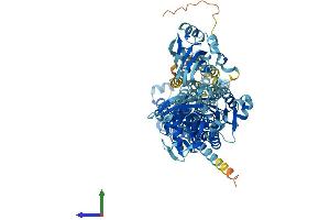 Protein Structure (PS) image for ATPase, Ca++ Transporting, Type 2C, Member 1 (ATP2C1) (AA 1-919) protein (His tag) (ABIN7552374)