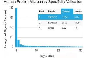 Analysis of HuProt(TM) microarray containing more than 19,000 full-length human proteins using recombinant TL1A antibody (clone rVEGI/1283). (TNFSF15 抗体)