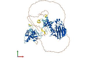 AlphaFold protein structure predicition of Human Recombinant ASH2L Protein, UniprotID Q9UBL3