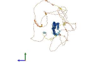AlphaFold protein structure predicition of Human Recombinant MTSS1 Protein, UniprotID O43312