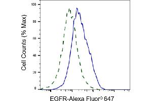 Validation of EGFR knockdown using flow cytometry. (Recombinant EGFR 抗体)