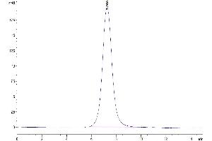 The purity of Human B7-H6 is greater than 95 % as determined by SEC-HPLC.