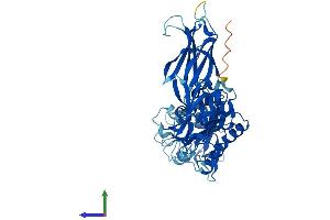 Protein Structure (PS) image for Copine I (CPNE1) (AA 1-536) protein (His tag) (ABIN7564495)