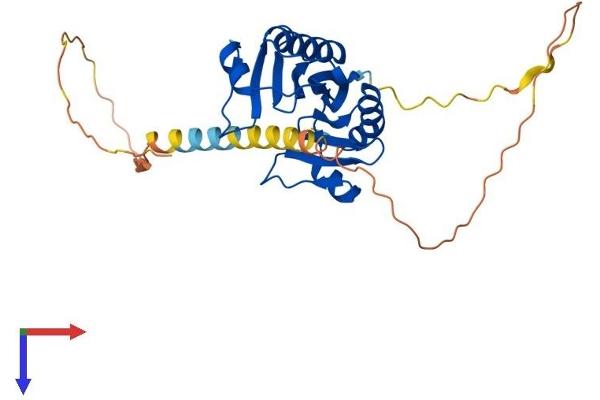TBP Protein (AA 1-316) (His tag)