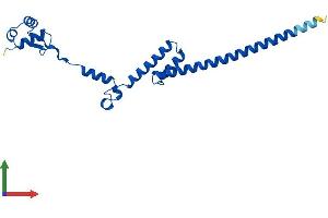 Protein Structure (PS) image for Ribosomal Protein L19 (RPL19) (AA 1-196) protein (His tag) (ABIN7551429)