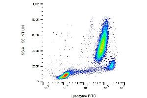 Flow cytometry analysis (intracellular staining) of lysozyme in human peripheral blood with anti-lysozyme (LZ598-10G9) FITC.