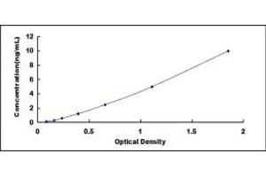 Typical standard curve (GATA5 ELISA 试剂盒)
