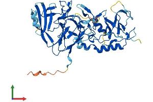Protein Structure (PS) image for Pellino Homolog 2 (Drosophila) (PELI2) (AA 1-419) protein (His tag) (ABIN7558860)