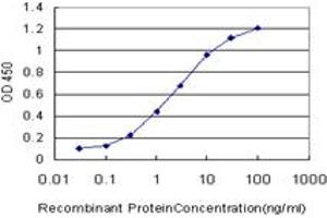 Detection limit for recombinant GST tagged CDK8 is approximately 0. (CDK8 抗体  (AA 375-464))