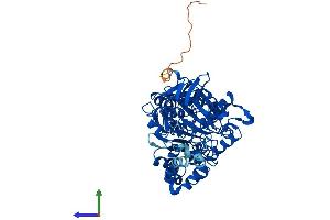 Protein Structure (PS) image for Chromosome 10 Open Reading Frame 33 (C10ORF33) (AA 1-581) protein (His tag) (ABIN7551139)