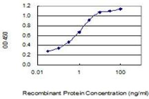 Detection limit for recombinant GST tagged BRI3BP is 0. (BRI3BP 抗体  (AA 1-251))