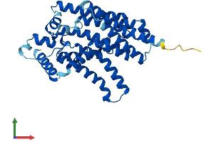 Protein Structure (PS) image for Glucose 6-Phosphatase, Catalytic 3 (G6PC3) (AA 1-346) protein (His tag) (ABIN7557950)