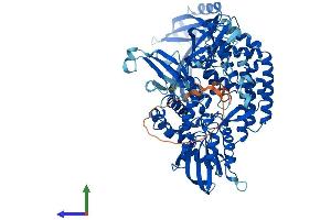 Protein Structure (PS) image for Topoisomerase (DNA) III beta (TOP3B) (AA 1-862) protein (His tag) (ABIN7565309)