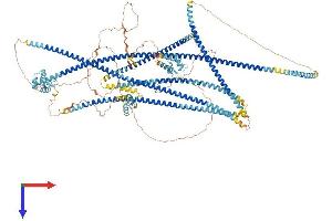 AlphaFold protein structure predicition of Mouse Recombinant Ninl Protein, UniprotID Q6ZQ12