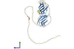AlphaFold protein structure predicition of Human Recombinant HNRNPA0 Protein, UniprotID Q13151