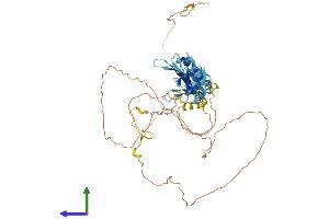 AlphaFold protein structure predicition of Human Recombinant MYEF2 Protein, UniprotID Q9P2K5