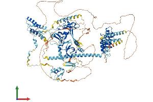 AlphaFold protein structure predicition of Human Recombinant BRPF1 Protein, UniprotID P55201