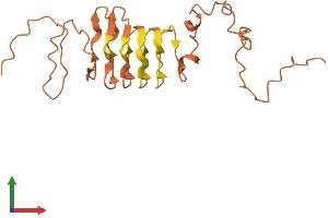 Protein Structure (PS) image for Keratin Associated Protein 5-8 (KRTAP5-8) (AA 1-189) protein (His tag) (ABIN7561028)
