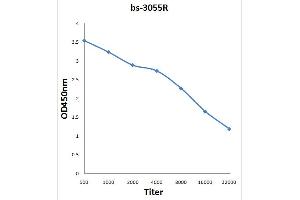 Antigen: 0. (BTK 抗体  (pSer180))