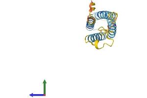 Protein Structure (PS) image for Chemokine-Like Factor (CKLF) (AA 1-152) protein (His tag) (ABIN7561242)