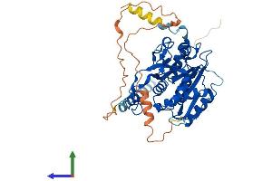 Protein Structure (PS) image for UDP-Gal:betaGlcNAc beta 1,3-Galactosyltransferase, Polypeptide 2 (B3GALT2) (AA 1-422) protein (His tag) (ABIN7552547)