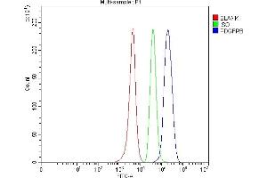Flow Cytometry analysis of SH-SY5Y cells using anti-PDGFRB antibody (ABIN5693171). (PDGFRB 抗体  (AA 911-992))