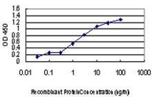 Detection limit for recombinant GST tagged ULK1 is approximately 0. (ULK1 抗体  (AA 602-715))