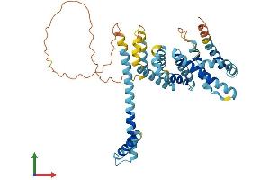 Protein Structure (PS) image for Meiosis-Specific 4 Homolog (MEI4) (AA 1-389) protein (His tag) (ABIN7558842)
