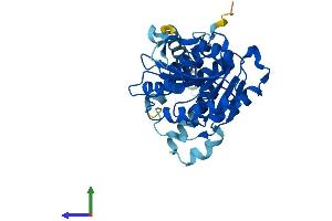 Protein Structure (PS) image for Asparagine-Linked Glycosylation 5, Dolichyl-Phosphate beta-Glucosyltransferase Homolog (S. Cerevisiae) (ALG5) (AA 1-324) protein (His tag) (ABIN7561253)