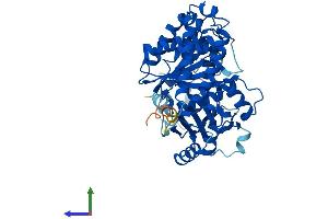 Protein Structure (PS) image for Tubulin, alpha 1a (Tuba1a) (AA 1-451) protein (His tag) (ABIN7544232)