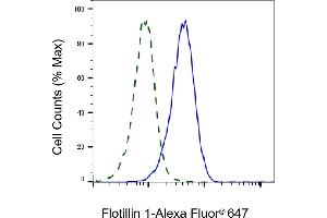 Validation of Flotillin 1 knockdown using flow cytometry. (Recombinant Flotillin 1 抗体)